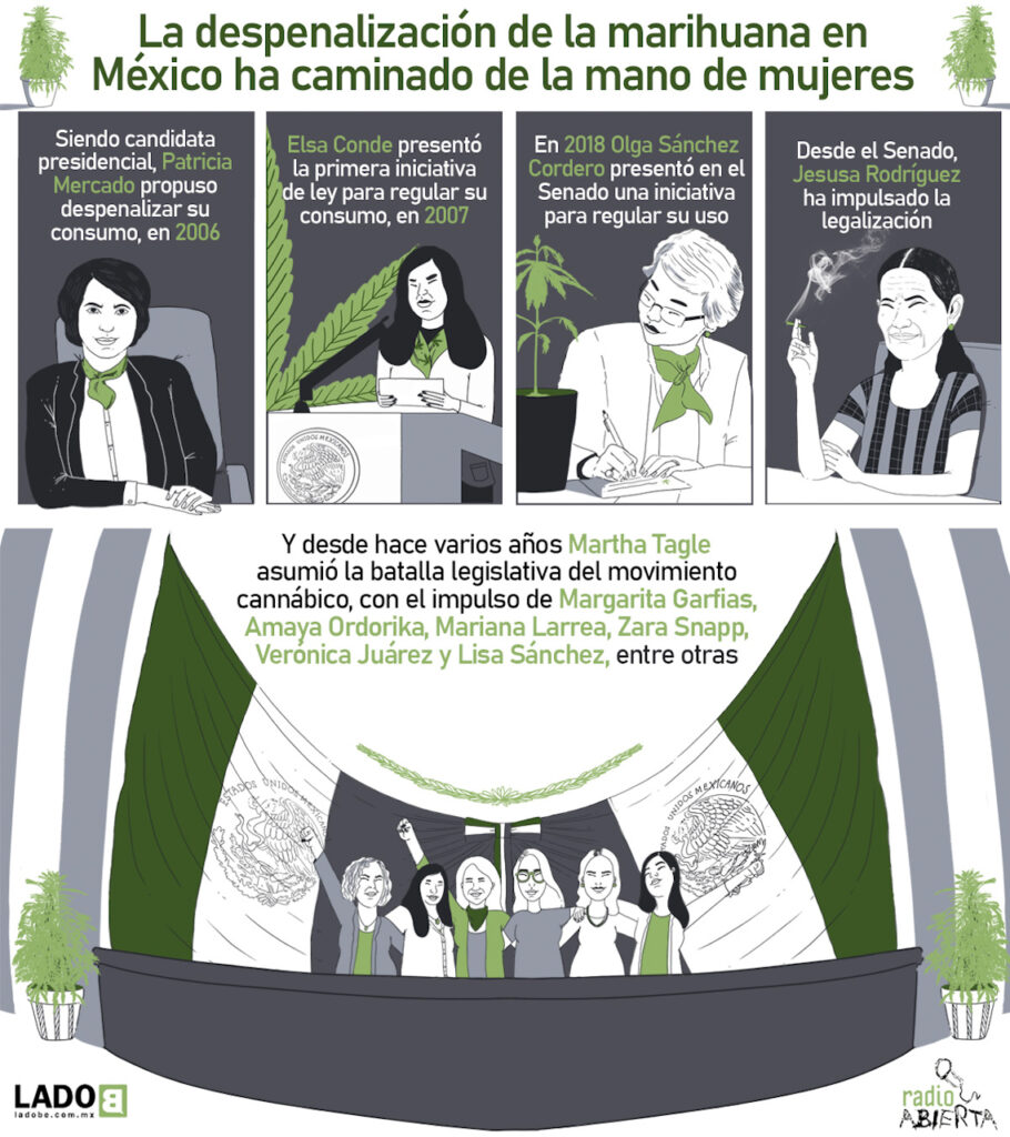 ladob_mujerescannabicas_infografia02-910×1024