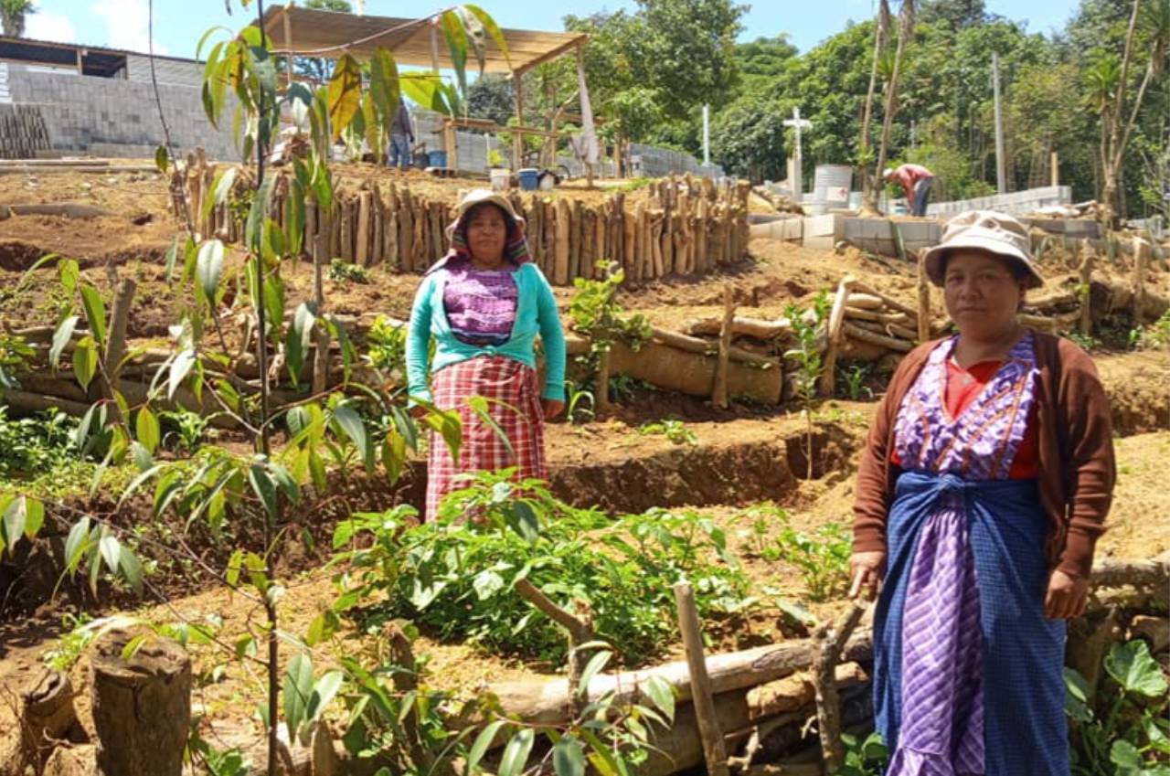 chiapasparalelo_mujeresycambioclimatico_mujeresdeafedes