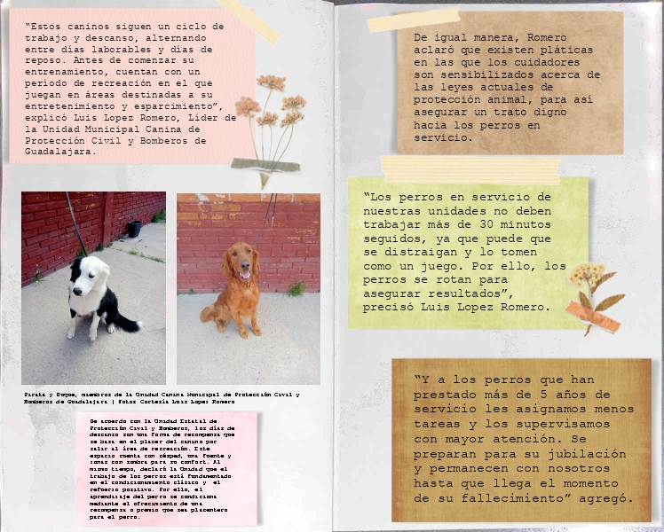 Zine perros final-1-9 (arrastrado)_page-0001-2